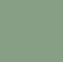 Nom : Vert basil Pantone